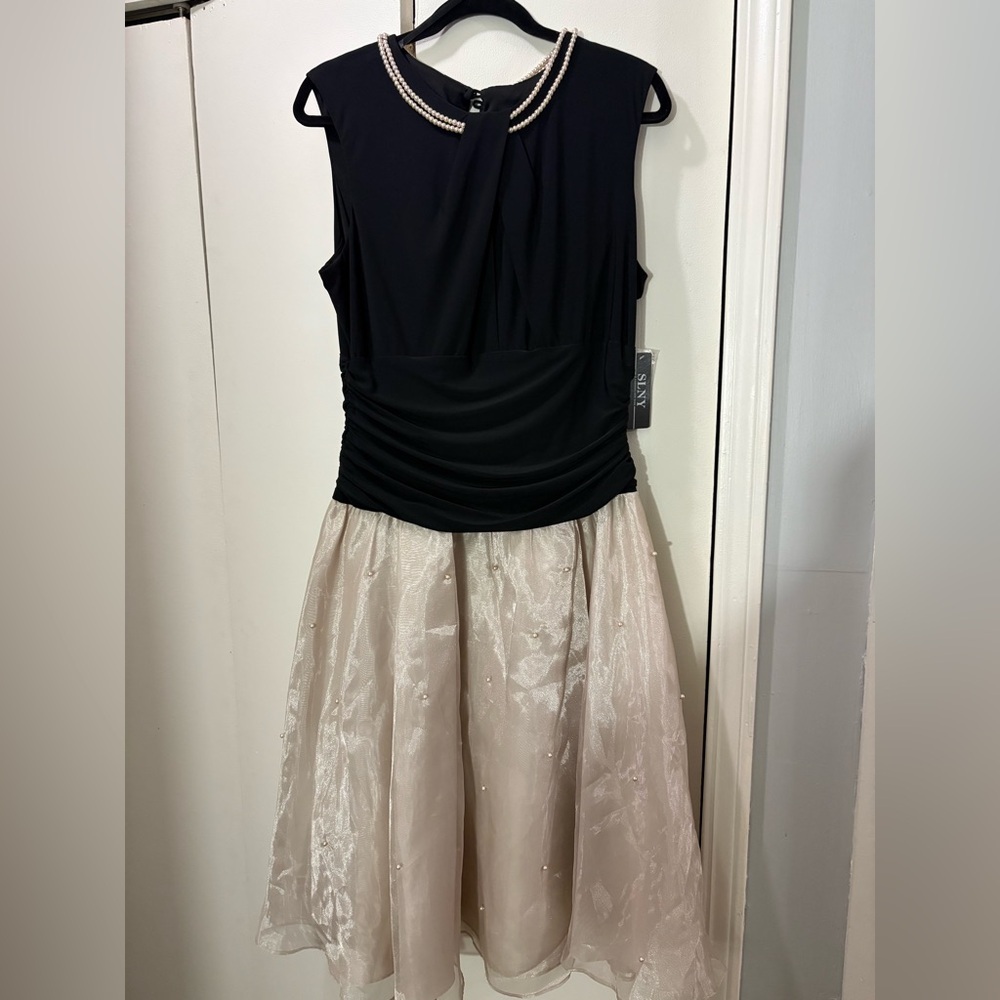 Elegant Black and Cream Dress​